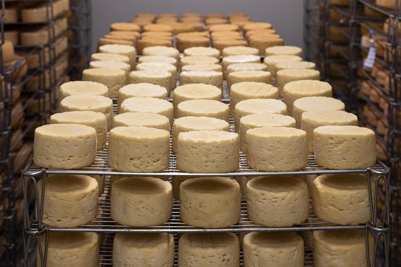 Gourmet cheeses