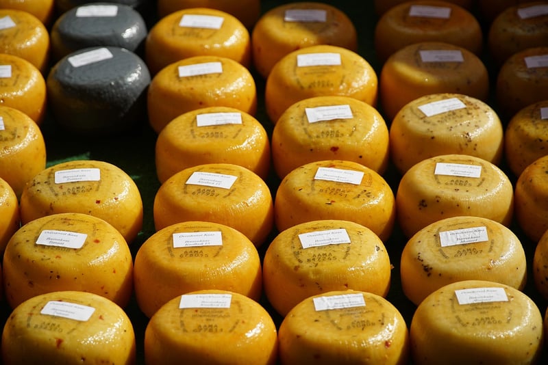 Assortment of Gourmet Cheeses